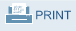 Printerfriendly Version